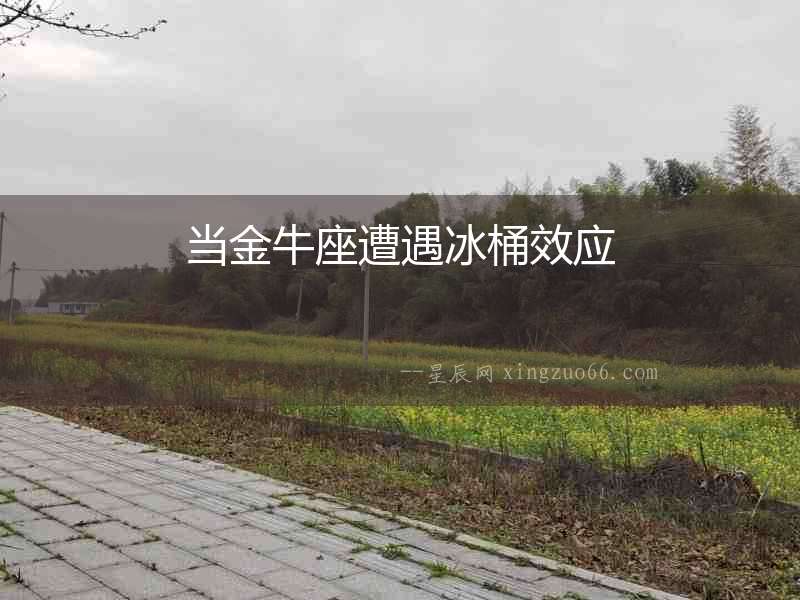 當(dāng)金牛座遭遇冰桶效應(yīng)