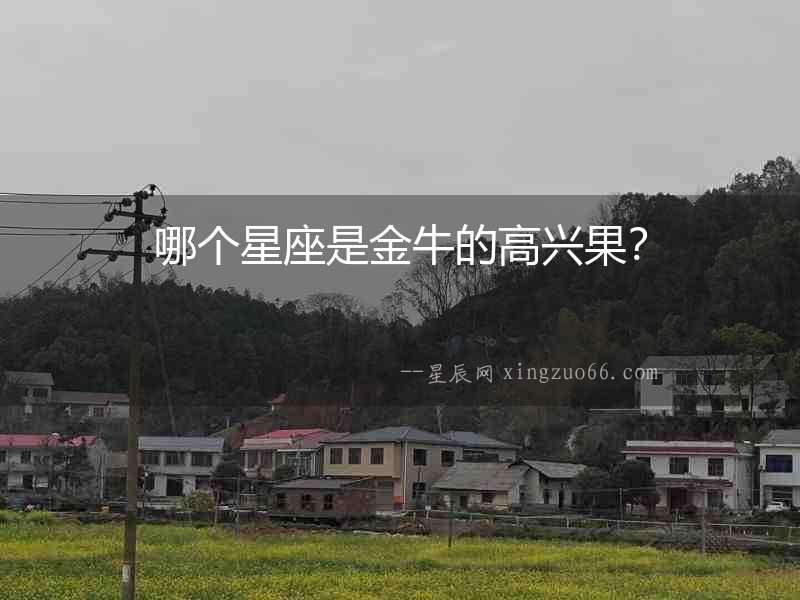 哪個星座是金牛的高興果？