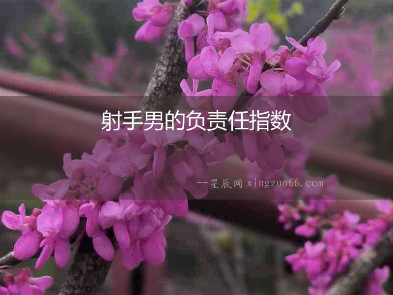 射手男的負責任指數