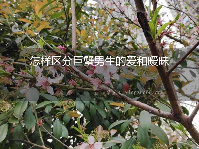 怎樣區分巨蟹男生的愛和曖昧