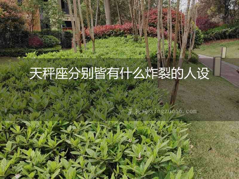 天秤座分別皆有什么炸裂的人設