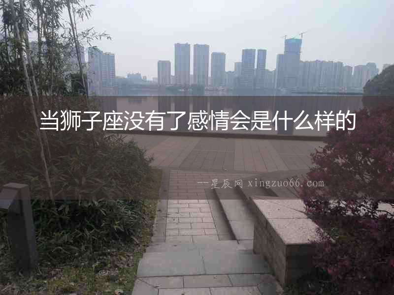 當(dāng)獅子座沒有了感情會是什么樣的