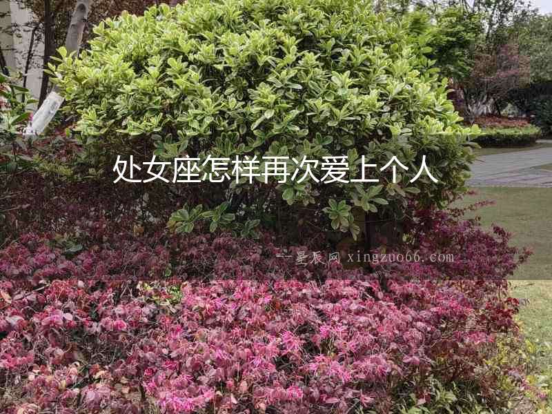 處女座怎樣再次愛上個人