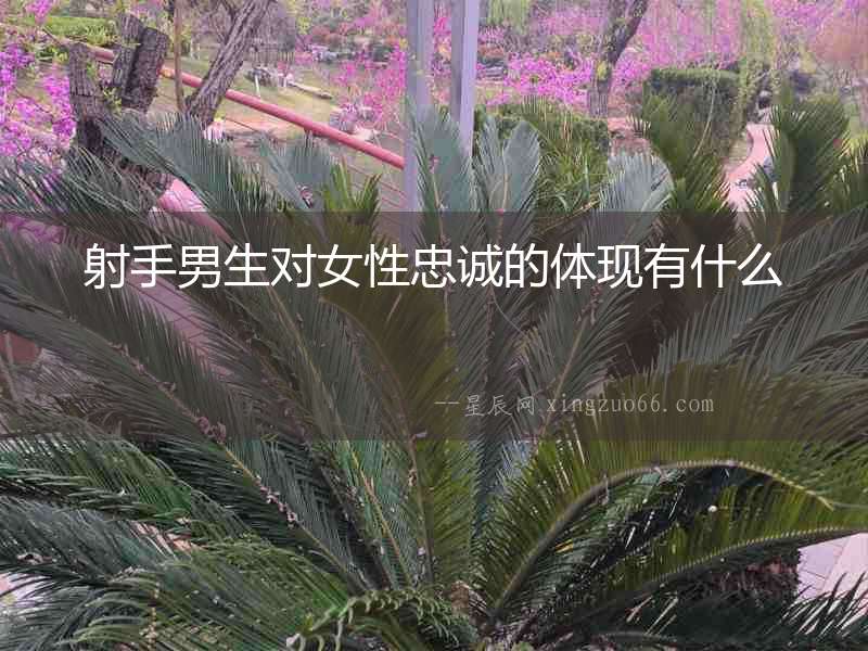 射手男生對女性忠誠的體現有什么