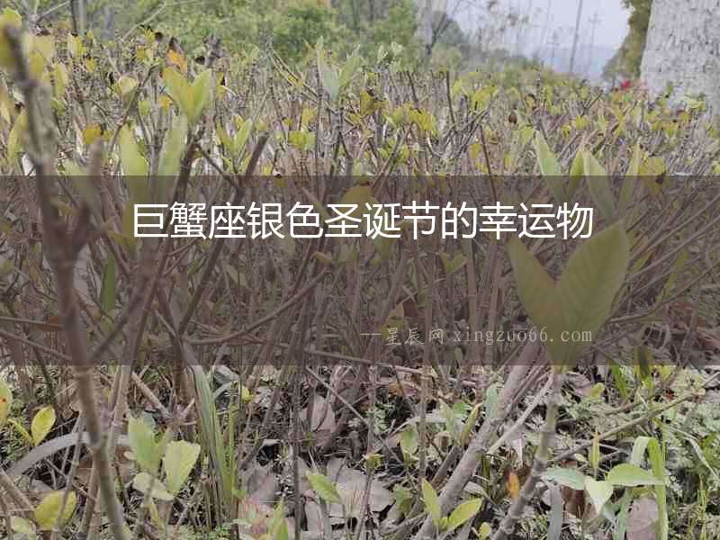 巨蟹座銀色圣誕節的幸運物