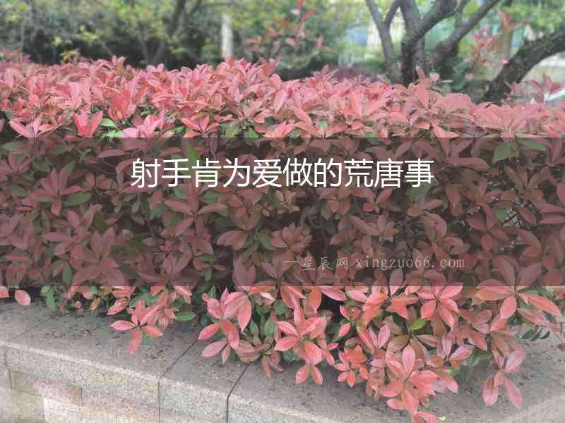射手肯為愛做的荒唐事