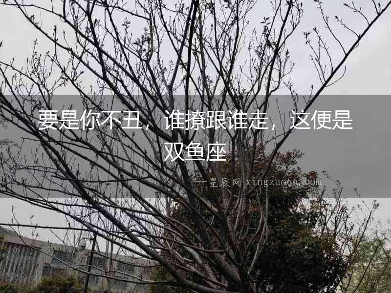 要是你不丑，誰撩跟誰走，這便是雙魚座