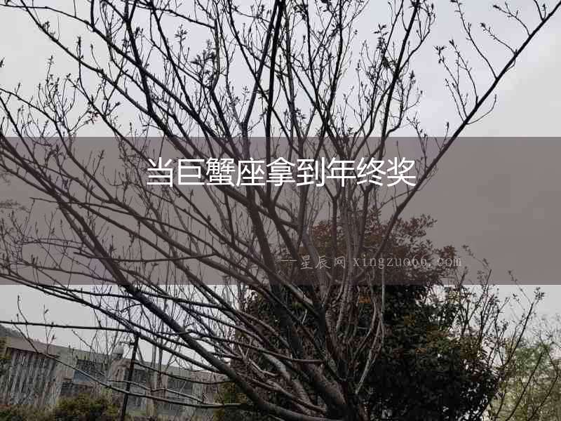 當巨蟹座拿到年終獎