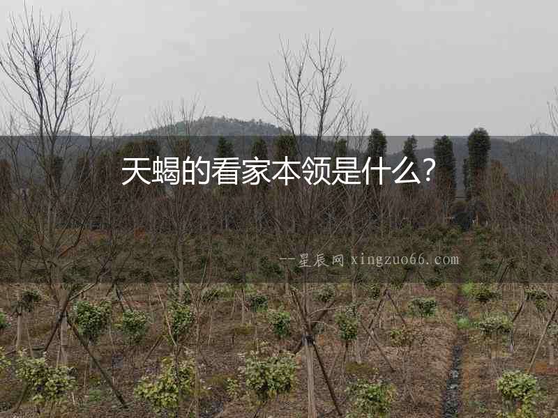 天蝎的看家本領(lǐng)是什么？
