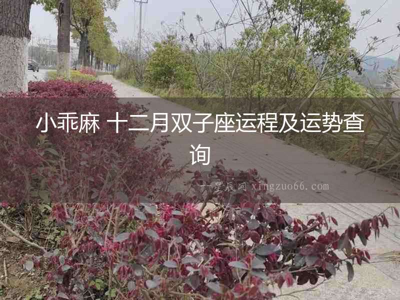小乖麻 十二月雙子座運(yùn)程及運(yùn)勢(shì)查詢
