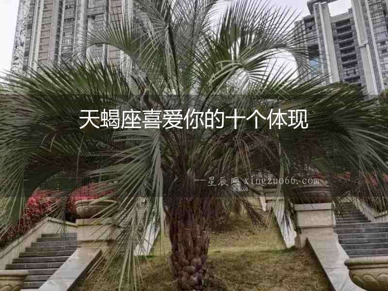 天蝎座喜愛你的十個體現(xiàn)