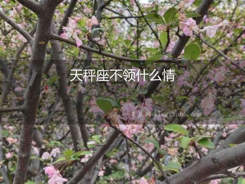 天秤座不領(lǐng)什么情