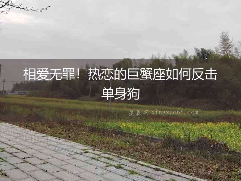相愛無罪！熱戀的巨蟹座如何反擊單身狗