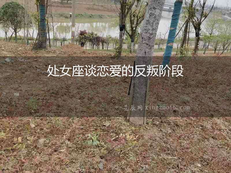 處女座談戀愛的反叛階段