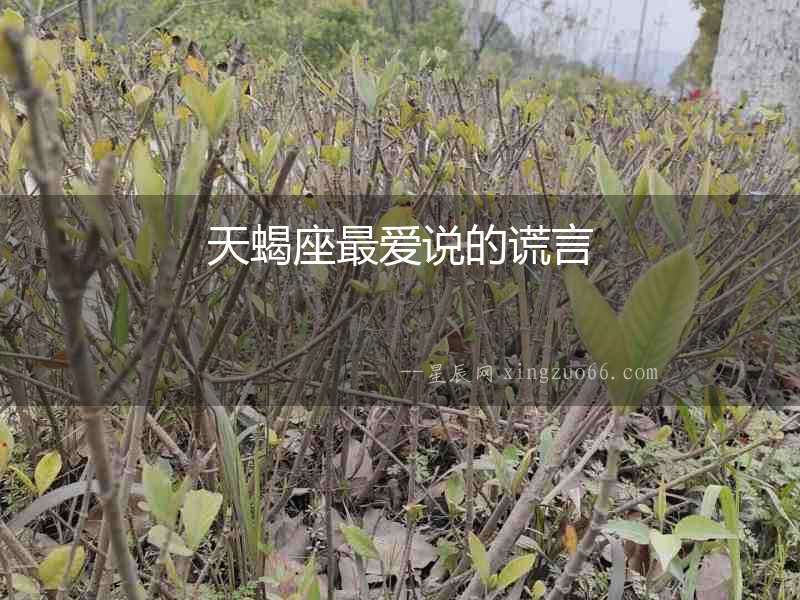 天蝎座最愛說的謊言