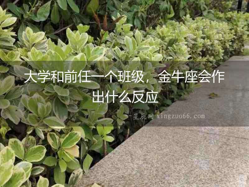 大學(xué)和前任一個(gè)班級，金牛座會作出什么反應(yīng)