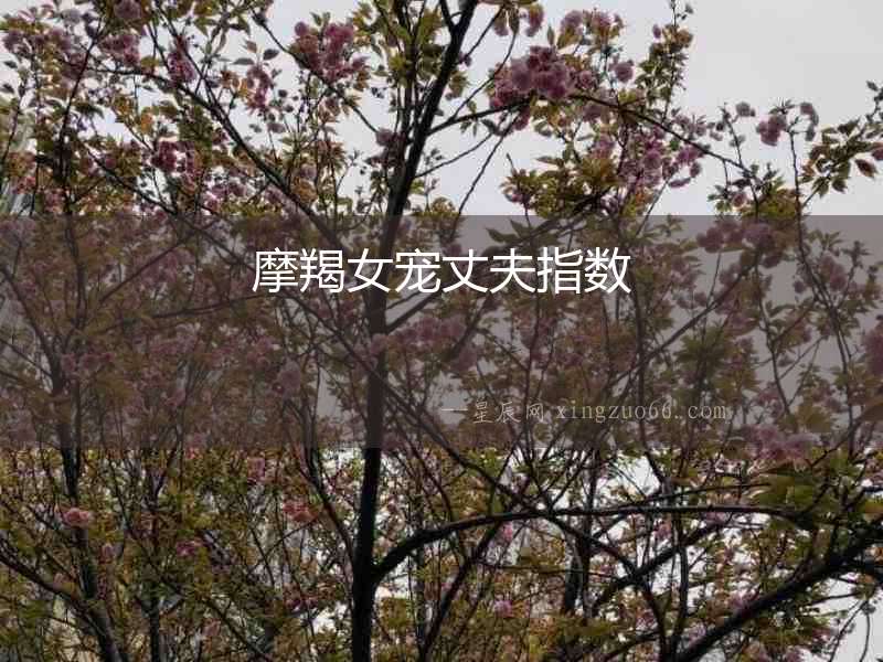 摩羯女寵丈夫指數(shù)