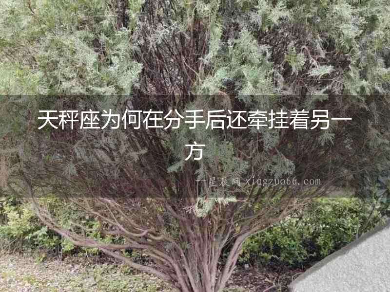 天秤座為何在分手后還牽掛著另一方
