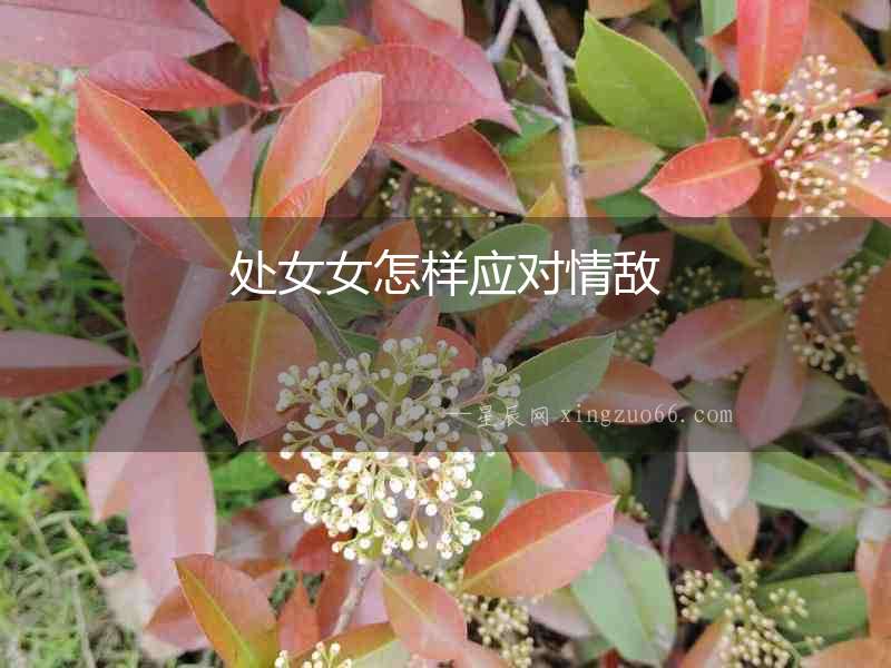 處女女怎樣應(yīng)對(duì)情敵
