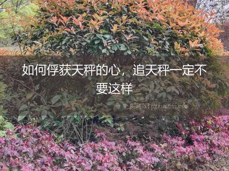 如何俘獲天秤的心，追天秤一定不要這樣