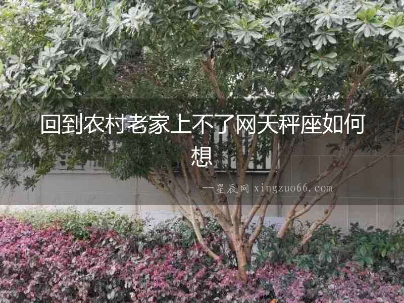 回到農村老家上不了網天秤座如何想