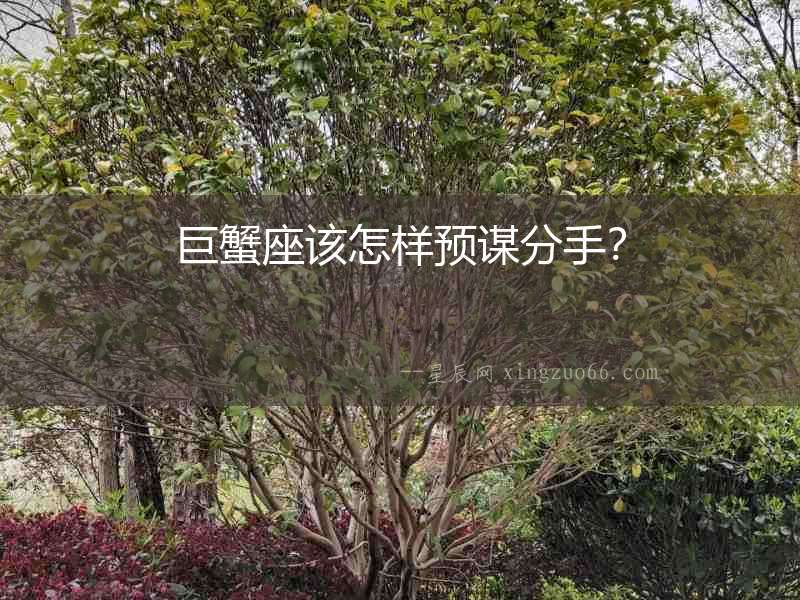巨蟹座該怎樣預謀分手？