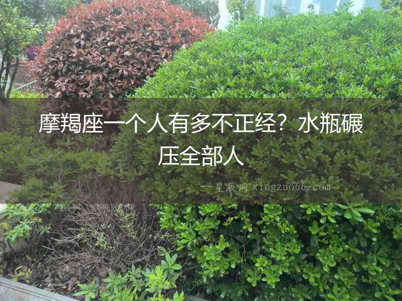 摩羯座一個人有多不正經？水瓶碾壓全部人
