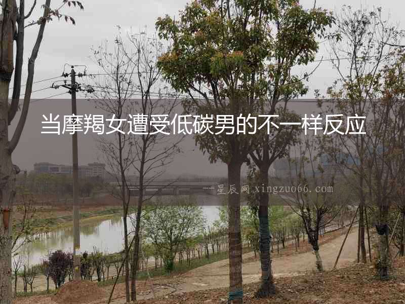 當摩羯女遭受低碳男的不一樣反應