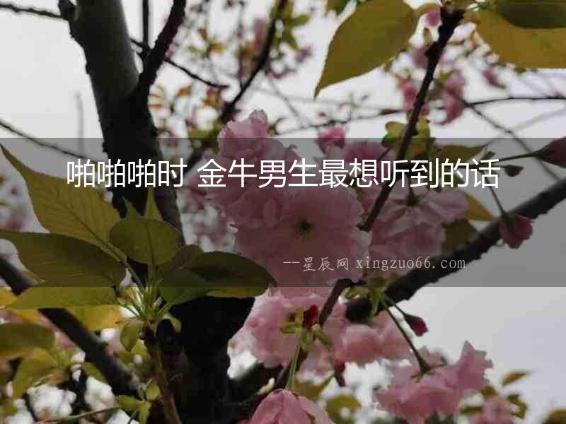 啪啪啪時(shí) 金牛男生最想聽(tīng)到的話