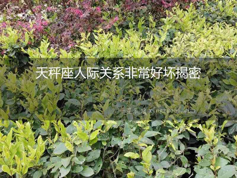 天秤座人際關系非常好壞揭密