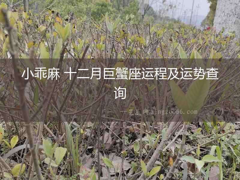 小乖麻 十二月巨蟹座運(yùn)程及運(yùn)勢查詢