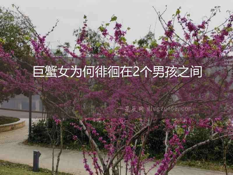巨蟹女為何徘徊在2個男孩之間