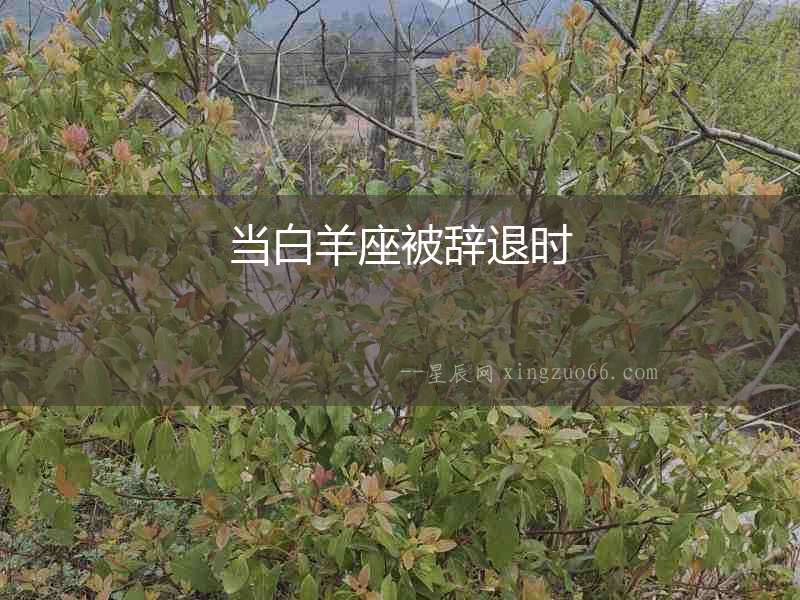 當(dāng)白羊座被辭退時(shí)