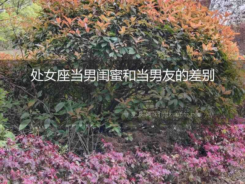 處女座當(dāng)男閨蜜和當(dāng)男友的差別