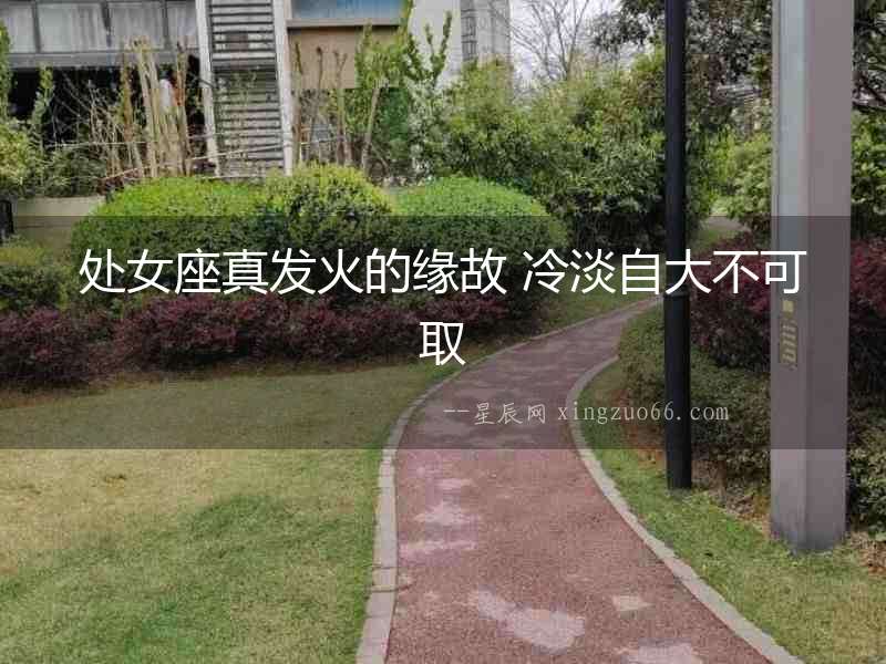 處女座真發(fā)火的緣故 冷淡自大不可取