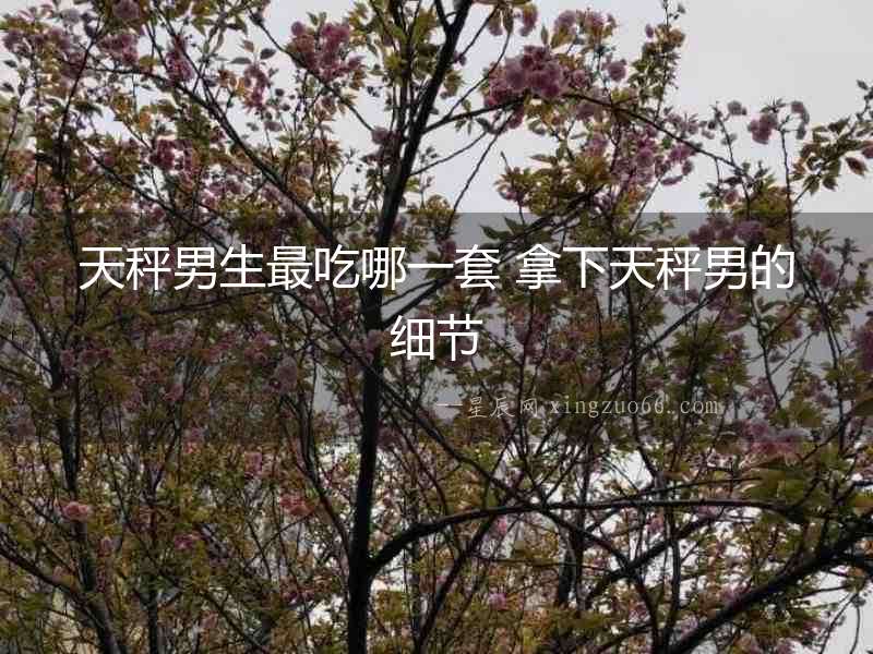 天秤男生最吃哪一套 拿下天秤男的細(xì)節(jié)