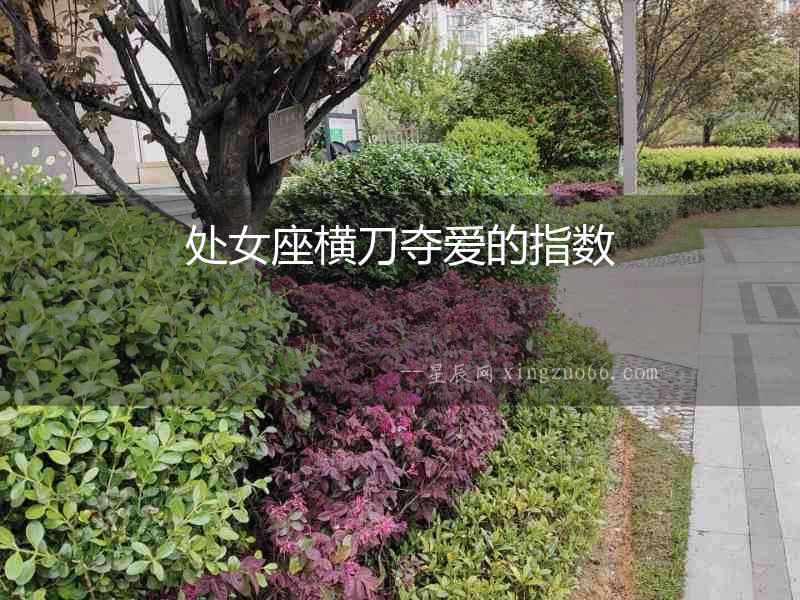 處女座橫刀奪愛(ài)的指數(shù)