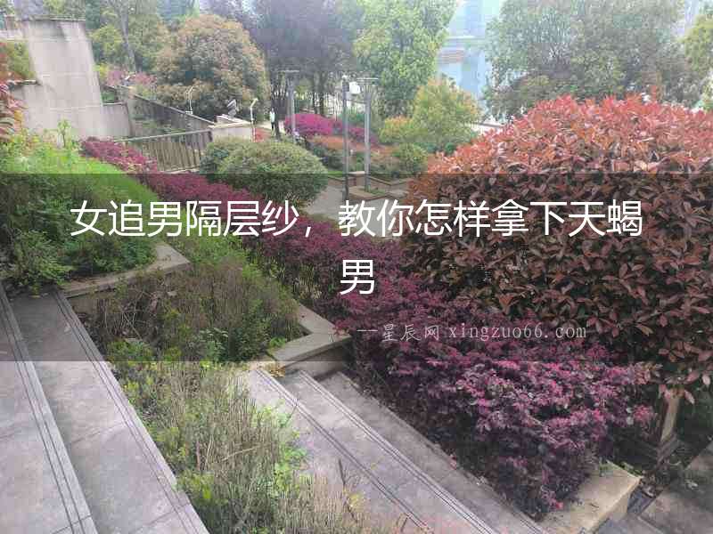 女追男隔層紗，教你怎樣拿下天蝎男