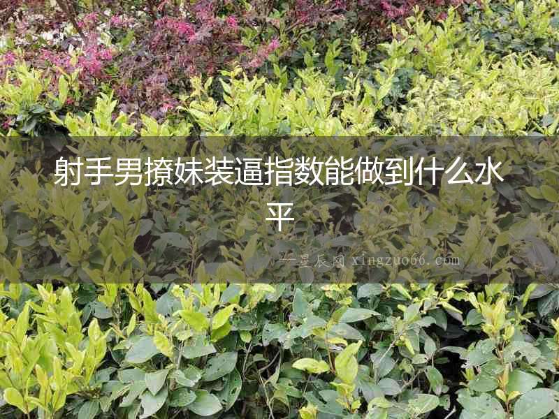 射手男撩妹裝逼指數(shù)能做到什么水平
