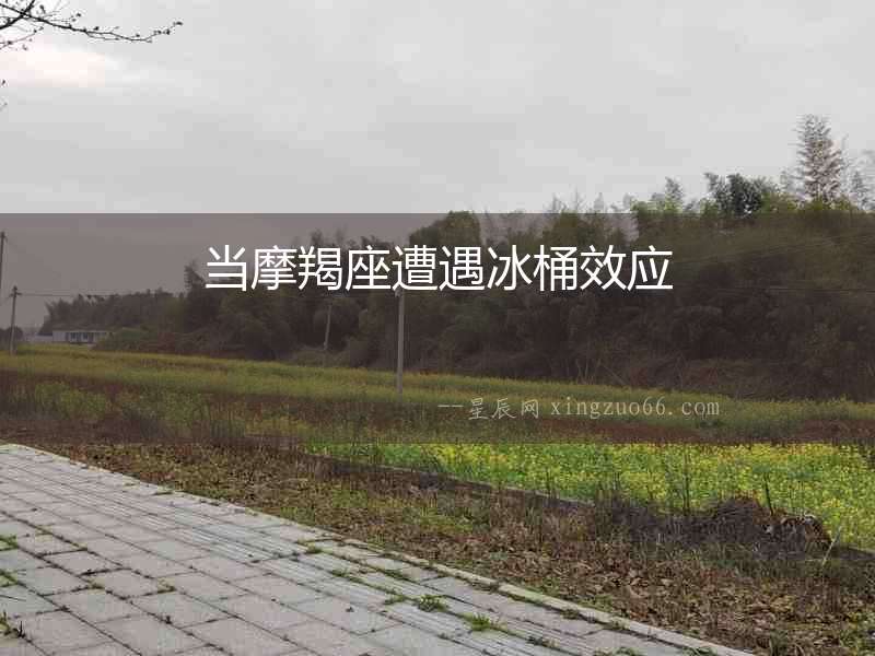 當(dāng)摩羯座遭遇冰桶效應(yīng)