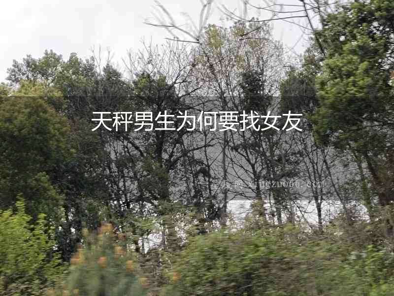 天秤男生為何要找女友