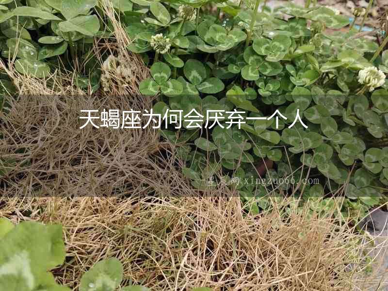 天蝎座為何會厭棄一個(gè)人