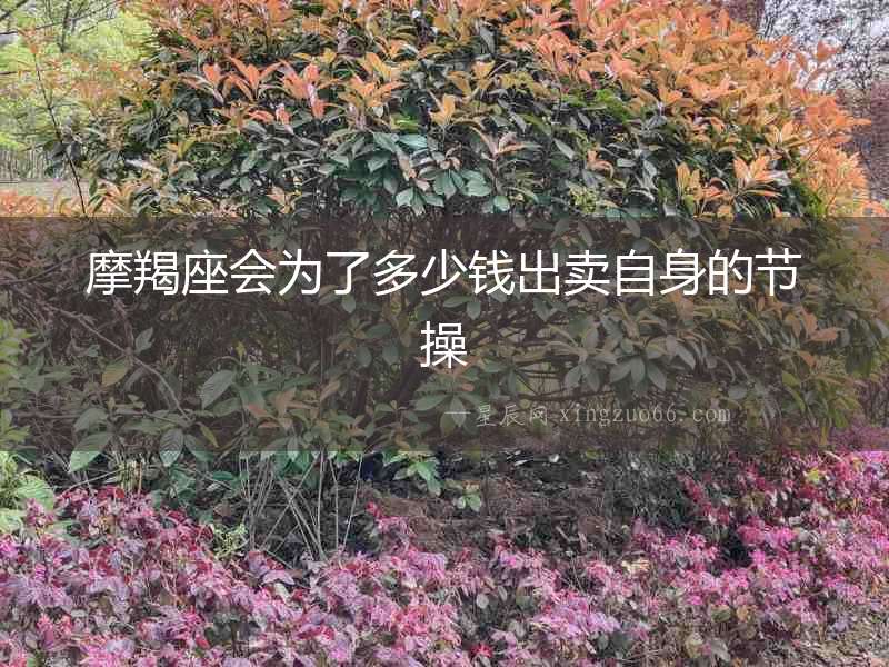 摩羯座會為了多少錢出賣自身的節操