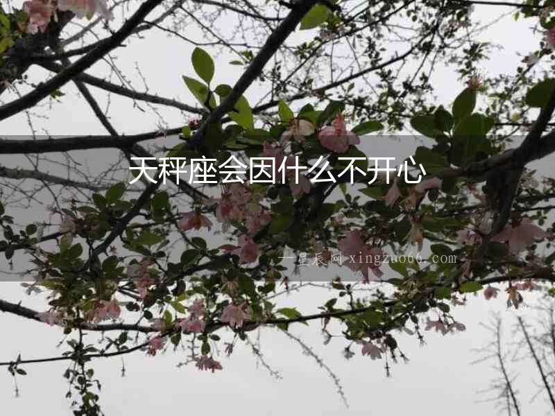 天秤座會因什么不開心