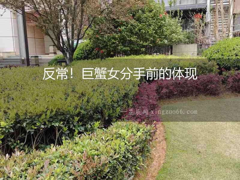 反常！巨蟹女分手前的體現
