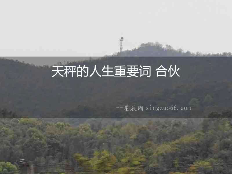 天秤的人生重要詞 合伙