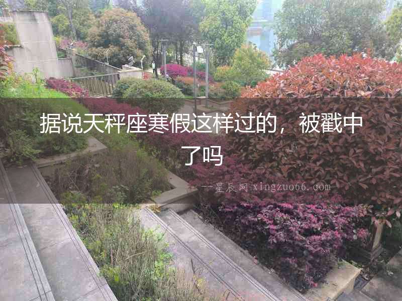 據說天秤座寒假這樣過的，被戳中了嗎