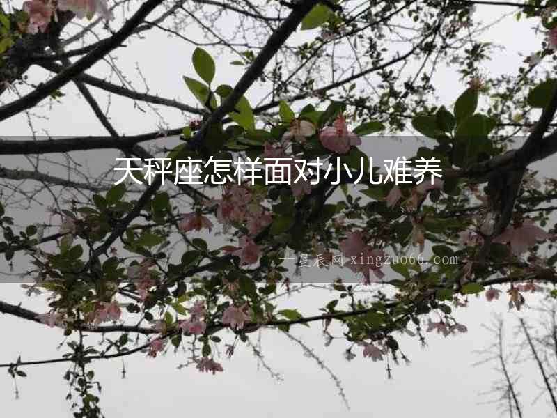 天秤座怎樣面對小兒難養