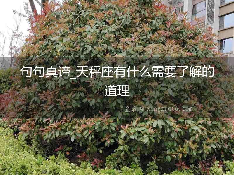 句句真諦_天秤座有什么需要了解的道理