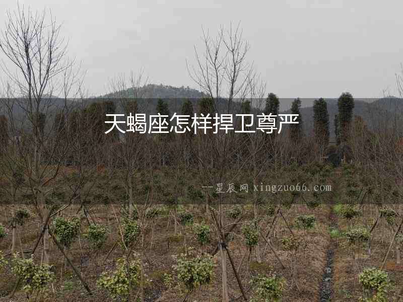天蝎座怎樣捍衛(wèi)尊嚴(yán)